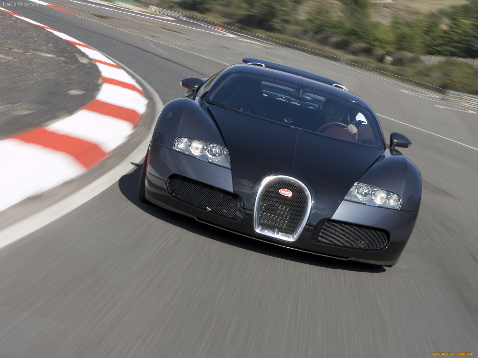 bugatti, veyron, 2005, 